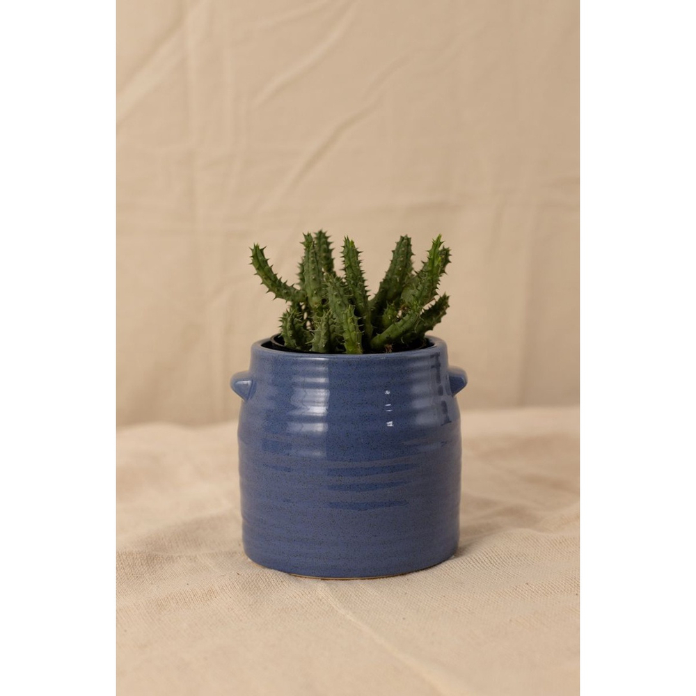 Vaso Glaze Azul P Casa Mind No Shoptime