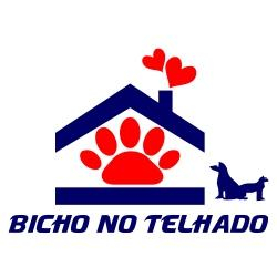 Bicho no Telhado