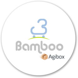 Bamboo