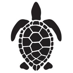 TARUGA SURF