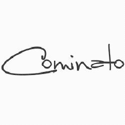 COMINATO COMERCIO ELETRONICO