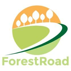 FORESTROAD