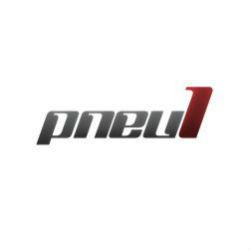 Pneu1