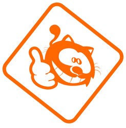 Ifcat