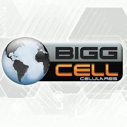BIGG CELL