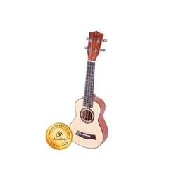 guitar bolsa kmart