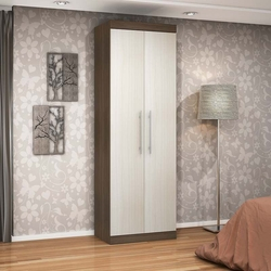 Menor preço em Guarda-Roupa Solteiro Star 2 portas – Poliman - Amendoa / Arena