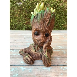 Vaso Groot Para Cactos E Suculentas é boa?