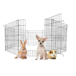 Cercado para Pet Kit com Portão Cães Canil Cachorro 8/62 é boa?