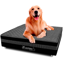 Cama Box Pet Bordado Em Matelassê Com Lençol Impermeável Branco Para Cachorros e Gatos 100x100x24cm - Caminha Pet - Bf Colchões é boa?