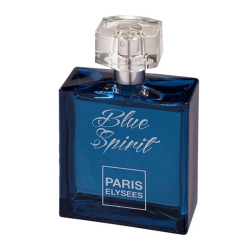 Perfume Feminino Paris Elysee Blue Spirit 100ml é boa?