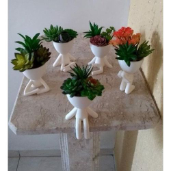 Kit 5 Vasos Bob Robert Plant para 5 Suculentas - Decoração Criativa para Casa e Jardim é boa?