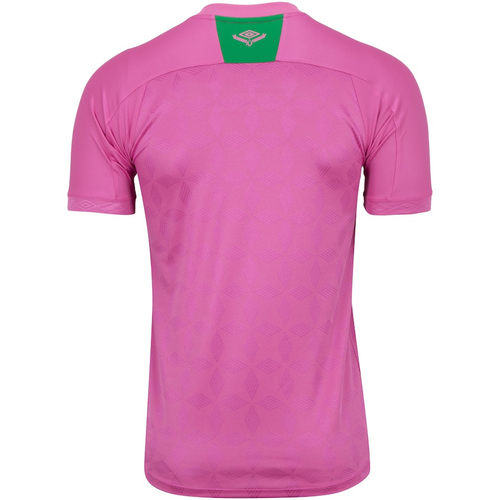 camisa chapecoense rosa