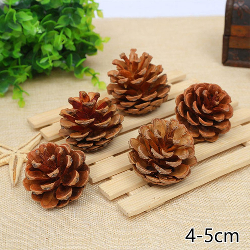 Pinhas naturais de pinha e enfeites de árvore de Natal para enfeites de árvore de natal para casa no Shoptime Pinhas naturais de pinha e enfeites de árvore de Natal para enfeites de árvore de natal para casa no Shoptime