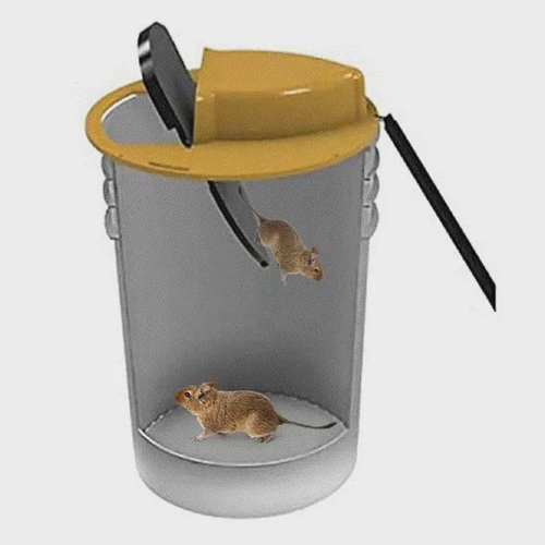 Armadilha ratoeira captura ratos balde reutilizavel ratazana camundongo