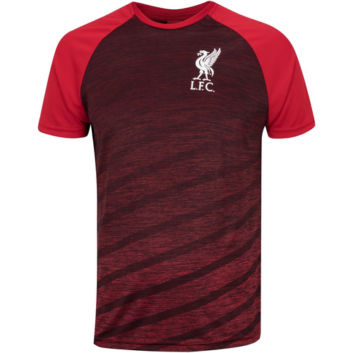 liverpool moletom com capuz sports direct