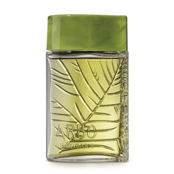 Menor preço em Perfume Arbo Forest 100ml masculino